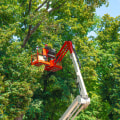 Boosting Curb Appeal: Why Tree Services Are Crucial When You Sell Your House In West Boxford, MA
