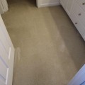 Sell House With Confidence: How Carpet Cleaning In Portland Transforms First Impressions