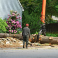 Attract More Buyers: Using Tree Removal Service To Sell House In Broward County